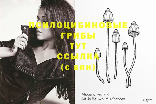 мяу мяу кристалл Алексин