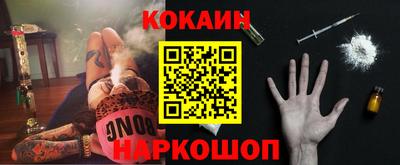 гашик Кандалакша