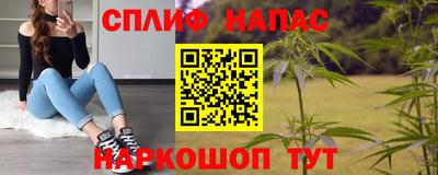 гашик Кандалакша