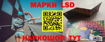 гашик Кандалакша